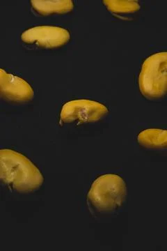 Raw Yellow Broad bean macro close up Stock Photos