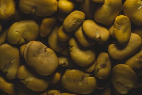 Raw Yellow Broad bean macro close up Stock Photos