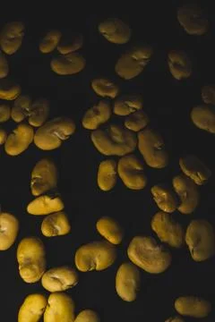 Raw Yellow Broad bean macro close up Stock Photos