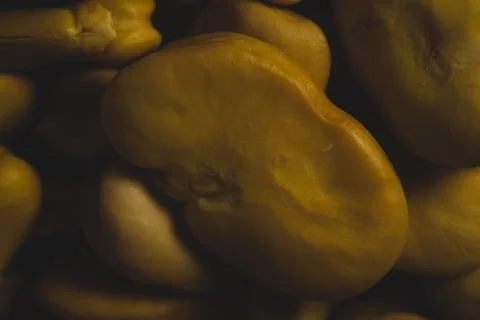 Raw Yellow Broad bean macro close up Stock Photos
