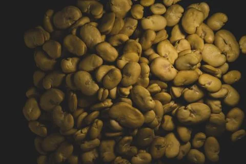 Raw Yellow Broad bean macro close up Stock Photos
