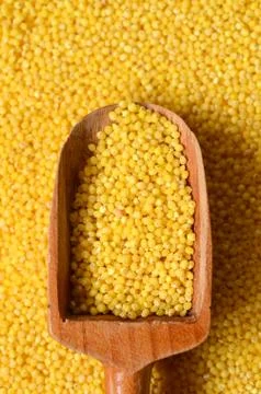 Raw yellow millet Fotos Stock
