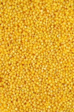 Raw yellow millet Stock Photos