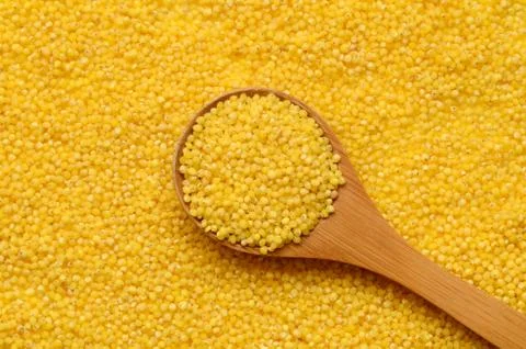 Raw yellow millet Stock Photos