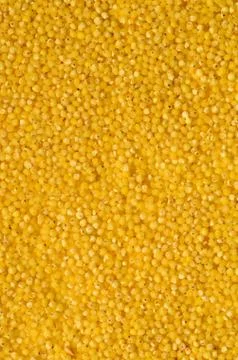 Raw yellow millet Stock Photos