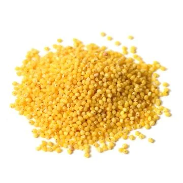 Raw yellow millet Stock Photos