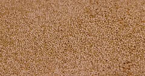 Raw yellow quinoa on the table, quinoa grain for cooking healthy porridge Stock Footage 274238976