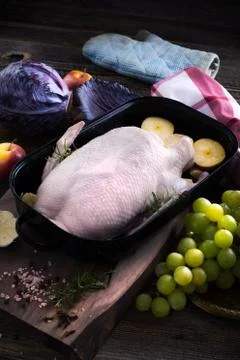 Raw young duck on a roaster Stock Photos