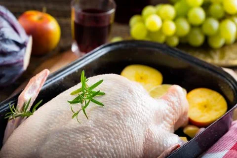 Raw young duck on a roaster Stock Photos