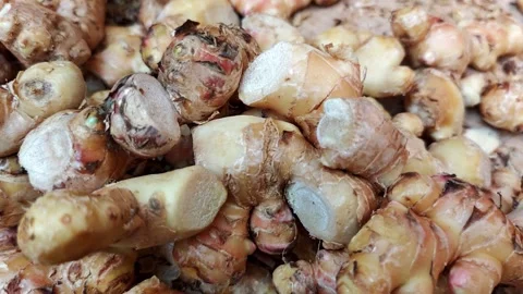 Raw young Ginger roots or rhizomes (Zingiber officinale) Stock Footage 339327421