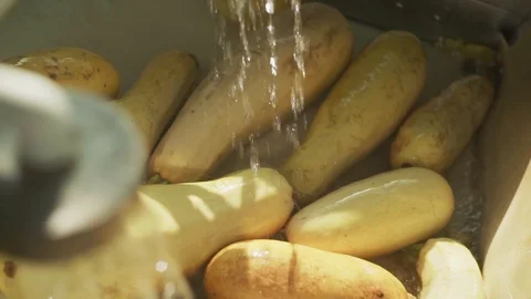 Raw Zucchini in a vegetable processing plant. Modern plant for Zucchini Stock Footage 129266008