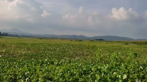 Rawa pening lake Stock Footage 272945928
