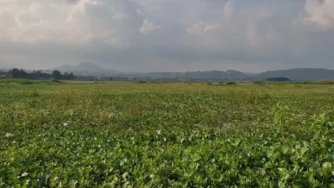 Rawa pening lake Stock Footage 272945953