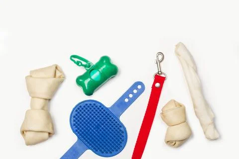 Rawhide bone and pet accessories on a white background in a top view Stock Photos