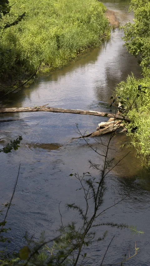 Rawka River. Видео 339107318