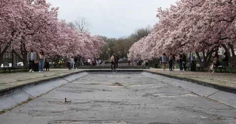 Rawlins Park, Washington, DC Stock Footage 151184604