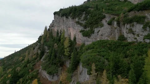 Rax Stock Footage 297579373