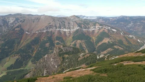 Rax Stock Footage 297579879