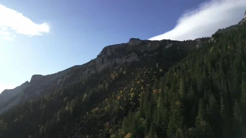 Rax Stock Footage 299810217