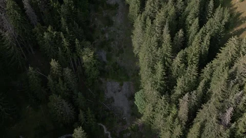 Rax Видео 299810556