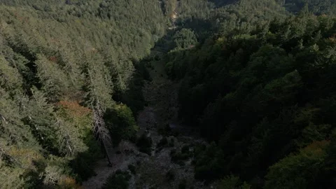 Rax Видео 299810688