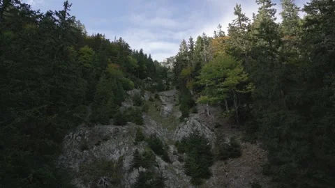 Rax Stock Footage 299813462