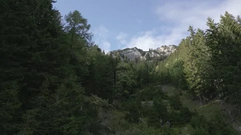 Rax Stock Footage 299813463