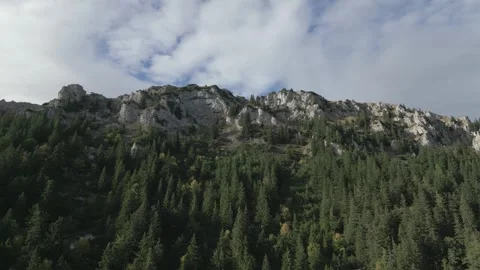 Rax Stock Footage 299814481