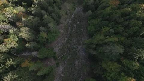 Rax Stock Footage 299814552