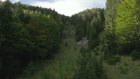 Rax Stock Footage 299814596