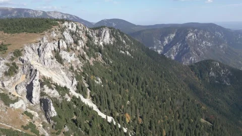 Rax Stock Footage 299815497