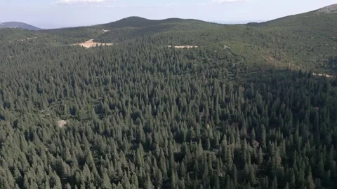 Rax Stock Footage 299829430