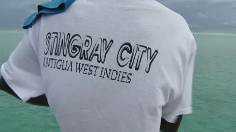 Ray 스톡 동영상 22341774