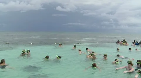 Ray Stock Footage 22341922