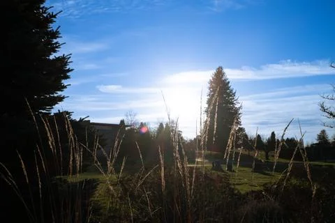 Ray of hope 스톡 사진