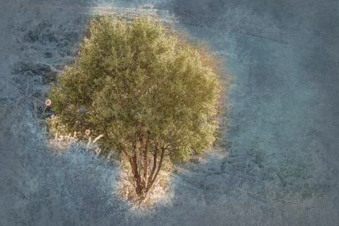 A ray of light breaks through the dramatic sky at sunset and hit a solitary tree Stock Illustration