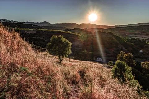 A ray of light breaks through the dramatic sky at sunset and hit a solitary tree Stock Photos