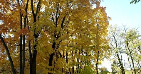 Ray of light Video stock 97996198