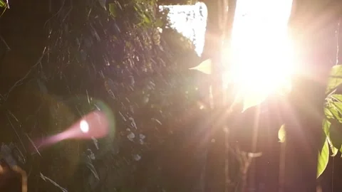 Ray of Light Video stock 248615261