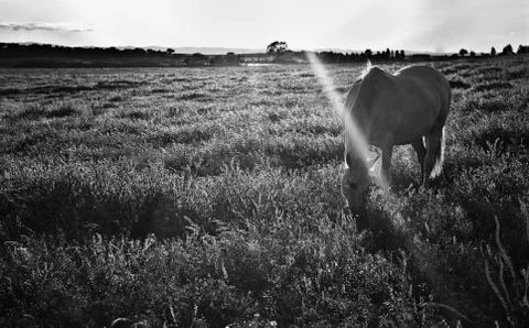 Ray of light Stock Photos