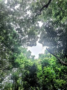 Ray of Light  Foto stock