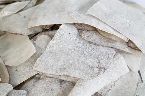 Ray skin stack Stock Photos