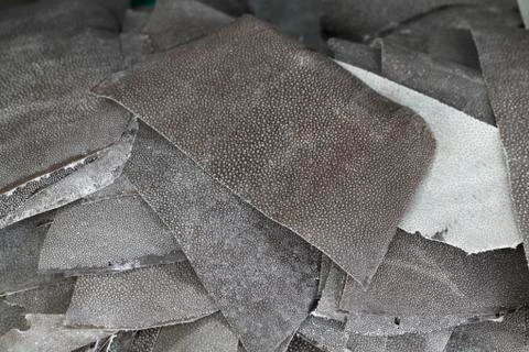 Ray skin stack Stock Photos