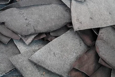 Ray skin stack Stock Photos