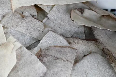 Ray skin stack Foto stock