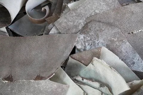 Ray skin stack Stock Photos