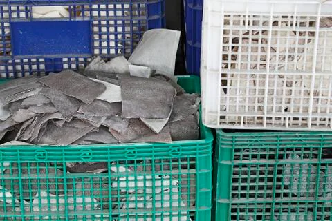 Ray skin stack Stock Photos