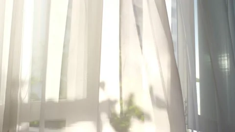 Ray of sun lighting through transparent curtain on window into bedroom at Stock Footage 219802598