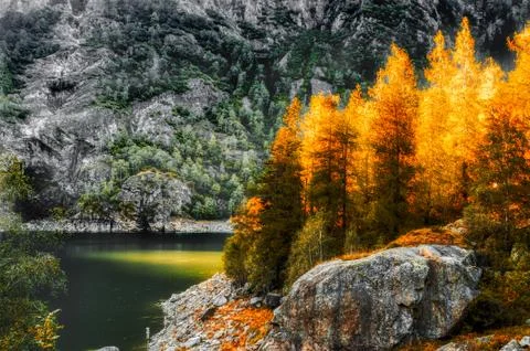 Ray of Sun over the trees Stock Photos