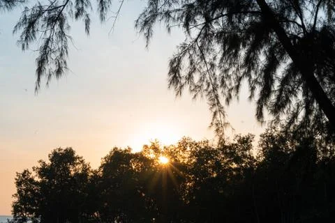 Ray of the Sun Stock Photos